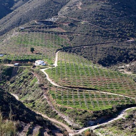 Cortijo El Rancho Villa Albanchez Luaran gambar