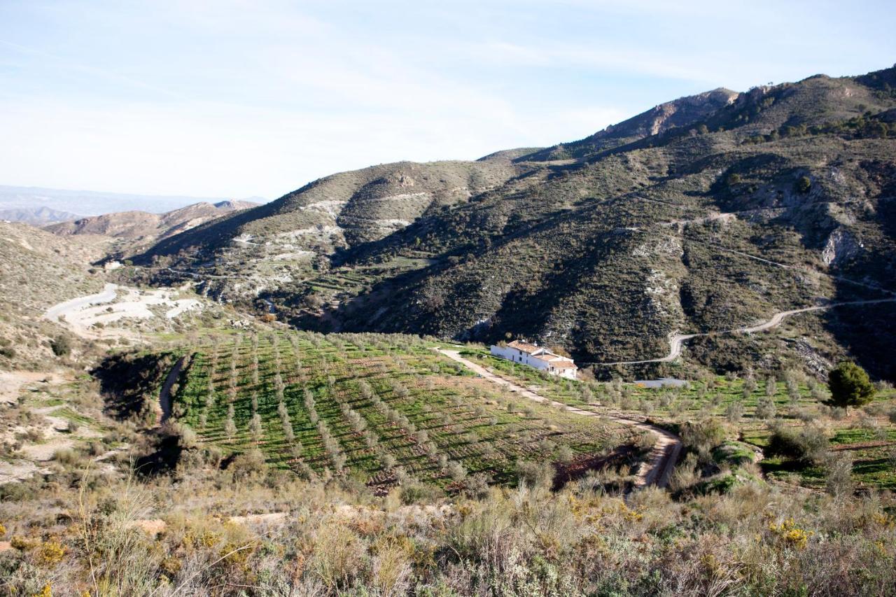 Cortijo El Rancho Villa Albanchez Luaran gambar